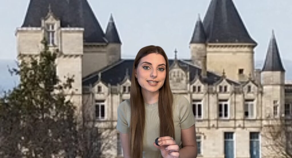 Imagen de un castillo