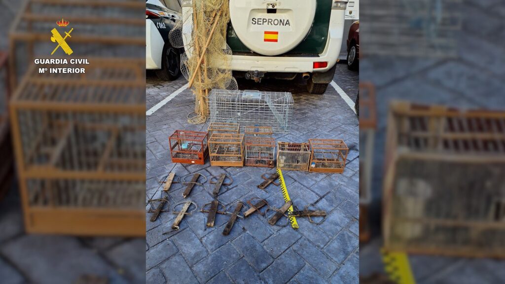 10/02/2026 Métodos de captura no selectiva hallados por el Seprona tras investigar a una persona por la captura ilegal de jilgueros.
SOCIEDAD ESPAÑA EUROPA CASTILLA-LA MANCHA
GUARDIA CIVIL