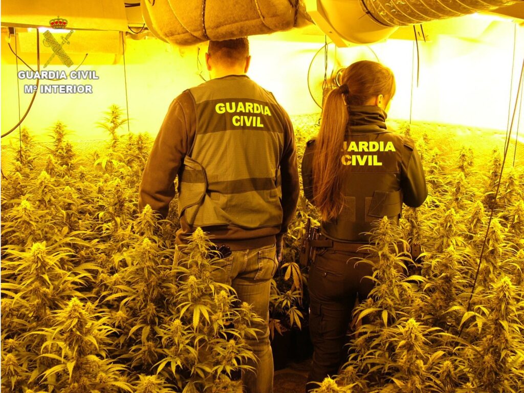 28/04/2026 Sucesos.- Desmantelan dos plantaciones 'indoor' en Enguídanos con capacidad para más de 500 plantas de cannabis.
La Guardia Civil de Cuenca, en el marco de la Operación FRAUS 5, ha detenido en la localidad de Enguídanos a un hombre y una mujer de 43 y 34 años de edad, como presuntos autores de varios delitos contra la salud pública y defraudación de fluido eléctrico.
SOCIEDAD
GUARDIA CIVIL