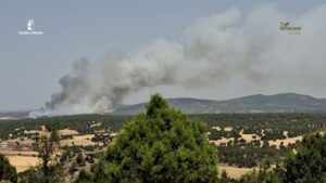 Incendio Forestal Selas