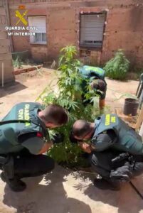 18/08/2026 Sucesos.- Dos personas investigadas tras descubrir la Guardia Civil 55 plantas de marihuana en un bar de Casasimarro.

La Guardia Civil de Cuenca ha investigado a dos personas, de 60 y 37 años de edad, por un presunto delito contra la salud pública, tras descubrir 55 plantas de marihuana en el patio de un bar de Casasimarro (Cuenca).

SOCIEDAD CASTILLA-LA MANCHA ESPAÑA EUROPA CUENCA AUTONOMÍAS
GUARDIA CIVIL