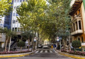 calle Tinte de Ciudad Real