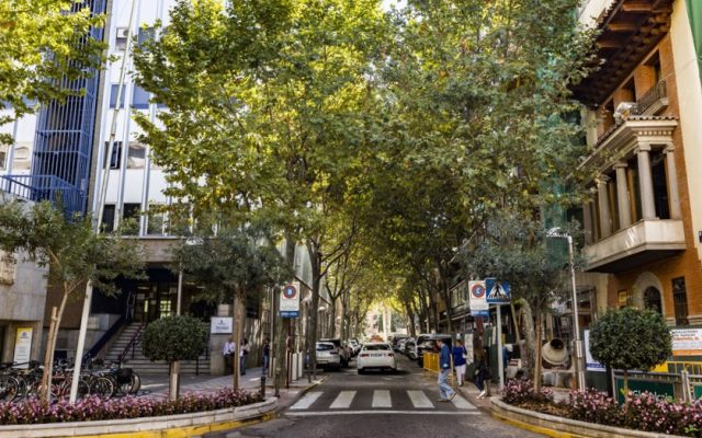 Asalto a una vivienda en Ciudad Real, en la calle Tinte
