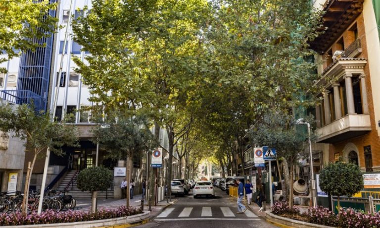 Asalto a una vivienda en Ciudad Real, en la calle Tinte