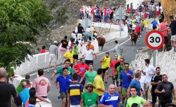 Encierros Ayna