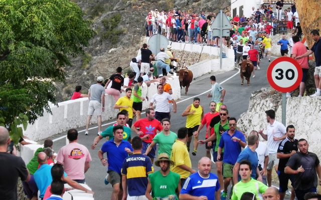 Encierros Ayna