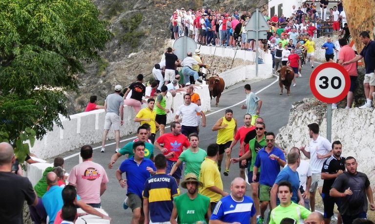Encierros Ayna