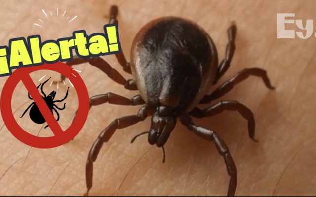 Imagen de alerta ante la picadura de garrapata