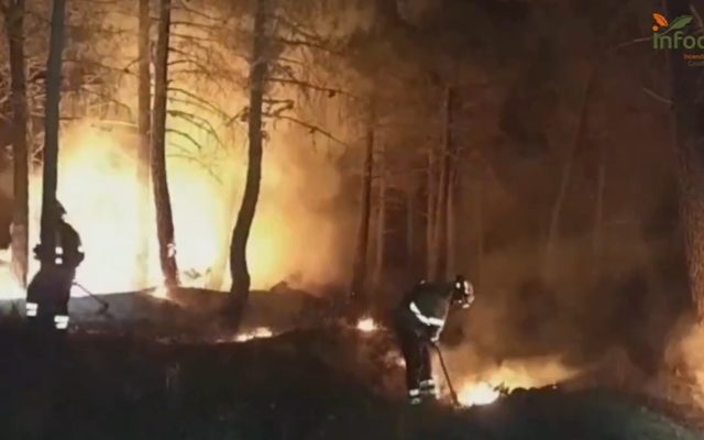 Incendio La Mierla