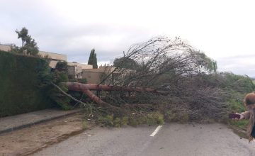 WhatsApp Image 2026-01-28 at 11.10.17