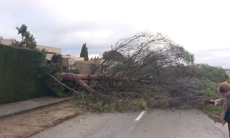 WhatsApp Image 2026-01-28 at 11.10.17