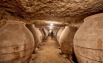bodegas portada