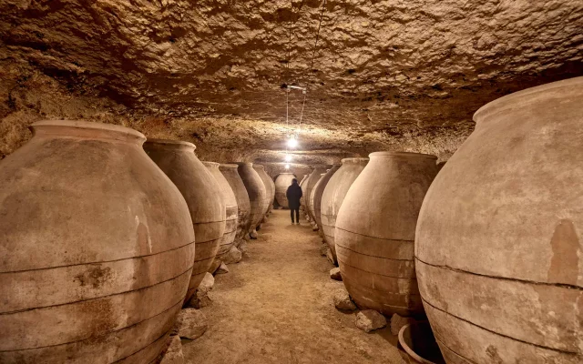 bodegas portada