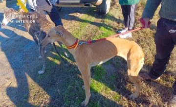 fotonoticia_20260128092545_1920