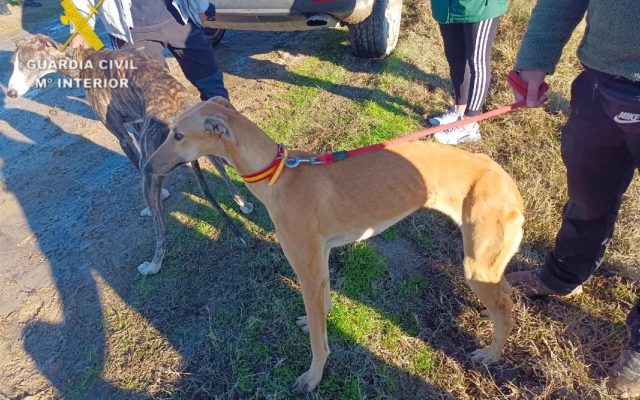 fotonoticia_20260128092545_1920