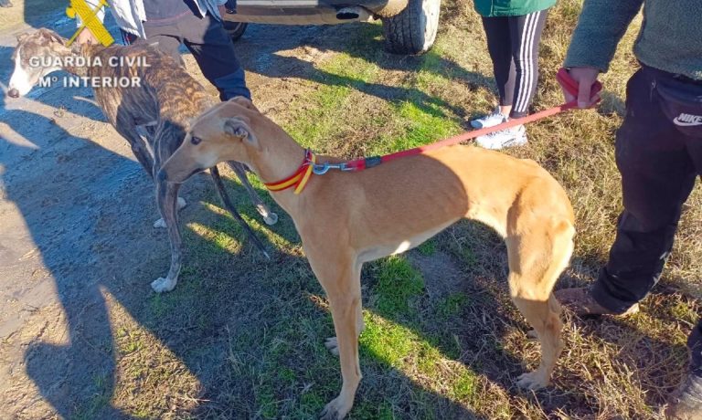 fotonoticia_20260128092545_1920