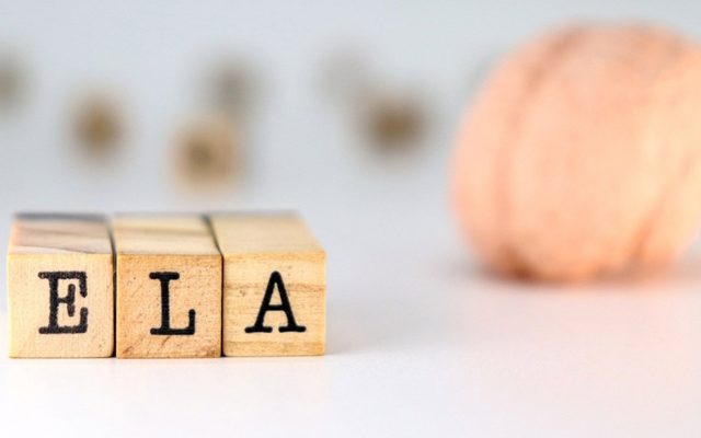 27/06/2025 Spanish word ELA. Acronym of amyotrophic lateral sclerosis on white background.
SALUD 
PHALEXAVILES