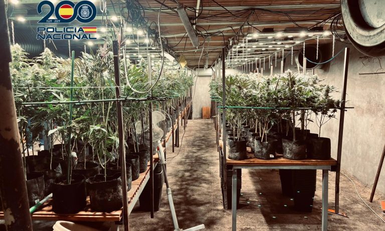 03/02/2026 Plantación de marihuana..

La Policía Nacional ha desmantelado en la localidad de Torrijos (Toledo) una plantación de marihuana de 800 metros cuadrados, oculta en un zulo excavado bajo una nave industrial dedicada a la cría de pollos. La operación se ha cerrado con la detención de los dos principales implicados y la incautación de 932 plantas de cannabis.

SOCIEDAD 
POLICÍA NACIONAL