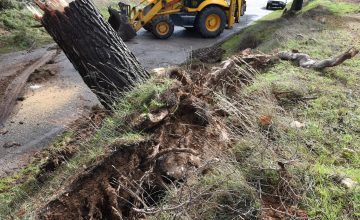 fotonoticia_20260206151536_1920