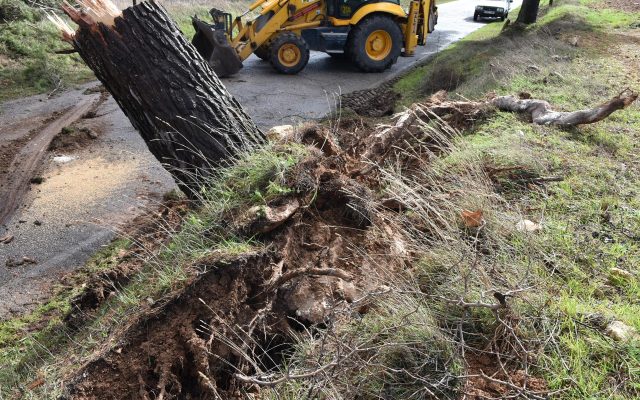 fotonoticia_20260206151536_1920