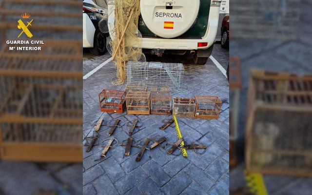 10/02/2026 Métodos de captura no selectiva hallados por el Seprona tras investigar a una persona por la captura ilegal de jilgueros.
SOCIEDAD ESPAÑA EUROPA CASTILLA-LA MANCHA
GUARDIA CIVIL