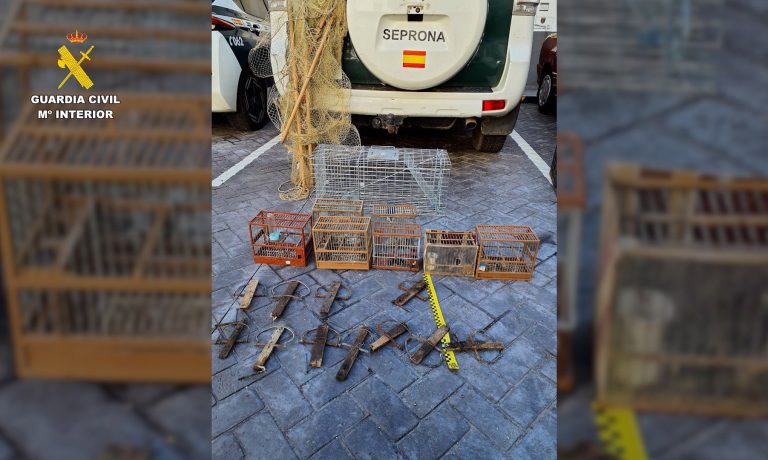 10/02/2026 Métodos de captura no selectiva hallados por el Seprona tras investigar a una persona por la captura ilegal de jilgueros.
SOCIEDAD ESPAÑA EUROPA CASTILLA-LA MANCHA
GUARDIA CIVIL