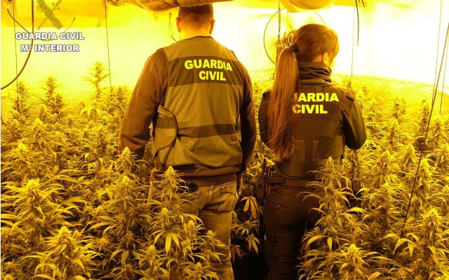 28/04/2026 Sucesos.- Desmantelan dos plantaciones 'indoor' en Enguídanos con capacidad para más de 500 plantas de cannabis.

La Guardia Civil de Cuenca, en el marco de la Operación FRAUS 5, ha detenido en la localidad de Enguídanos a un hombre y una mujer de 43 y 34 años de edad, como presuntos autores de varios delitos contra la salud pública y defraudación de fluido eléctrico.

SOCIEDAD 
GUARDIA CIVIL