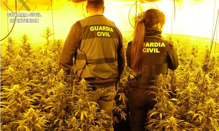 28/04/2026 Sucesos.- Desmantelan dos plantaciones 'indoor' en Enguídanos con capacidad para más de 500 plantas de cannabis.

La Guardia Civil de Cuenca, en el marco de la Operación FRAUS 5, ha detenido en la localidad de Enguídanos a un hombre y una mujer de 43 y 34 años de edad, como presuntos autores de varios delitos contra la salud pública y defraudación de fluido eléctrico.

SOCIEDAD 
GUARDIA CIVIL