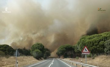 Incendio de Almorox (Toledo)