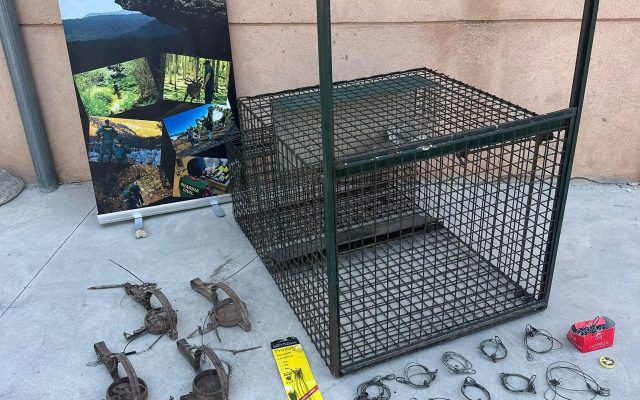 06/08/2026 La Guardia Civil detiene a 3 personas por la muerte de un lince ibérico en Cuenca..

Efectivos del Seprona de la Comandancia de la Guardia Civil de Cuenca, en el marco del ejercicio de la competencia exclusiva y específica como policía judicial e instrumental en todo el territorio nacional para perseguir delitos medioambientales, han desarticulado una organización criminal dedicada presuntamente a la eliminación sistemática de depredadores silvestres; investigación que se inició tras la localización, en abril de 2026, del cadáver de un lince ibérico abatido por disparos en el límite de los términos de Huelves y Barajas de Melo.

SOCIEDAD CASTILLA-LA MANCHA ESPAÑA EUROPA CUENCA AUTONOMÍAS
GUARDIA CIVIL