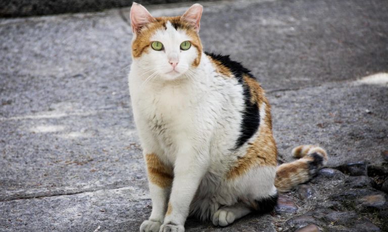 fotonoticia_20260814114246_1920