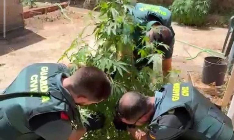 18/08/2026 Sucesos.- Dos personas investigadas tras descubrir la Guardia Civil 55 plantas de marihuana en un bar de Casasimarro.

La Guardia Civil de Cuenca ha investigado a dos personas, de 60 y 37 años de edad, por un presunto delito contra la salud pública, tras descubrir 55 plantas de marihuana en el patio de un bar de Casasimarro (Cuenca).

SOCIEDAD CASTILLA-LA MANCHA ESPAÑA EUROPA CUENCA AUTONOMÍAS
GUARDIA CIVIL