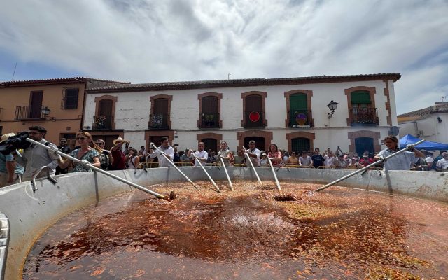 06/09/2026 Pisto en Villanueva de los Infantes
SOCIEDAD ESPAÑA EUROPA CASTILLA-LA MANCHA
DIUTACION CIUDAD REAL