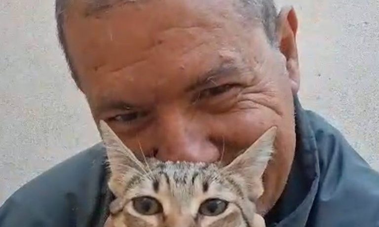 23/09/2026 Captura del último vídeo subido en el perfil del José Luis Serrano Sánchez denunciado por PACMA..

El Partido Animalista PACMA ha convocado una concentración el próximo 4 de octubre, a las 12.00 horas, en la plaza de España del municipio de Valdepeñas, para exigir a las autoridades una respuesta contra el bautizado como 'matagatos de Valdepeñas', un vecino que se viralizó en redes sociales el pasado mes de agosto tras afirmar que había dado muerte a más de 50 gatos e insultar gravemente a las mujeres que cuidan las colonias felinas del municipio.

SOCIEDAD CASTILLA-LA MANCHA ESPAÑA EUROPA AUTONOMÍAS CIUDAD REAL
PACMA