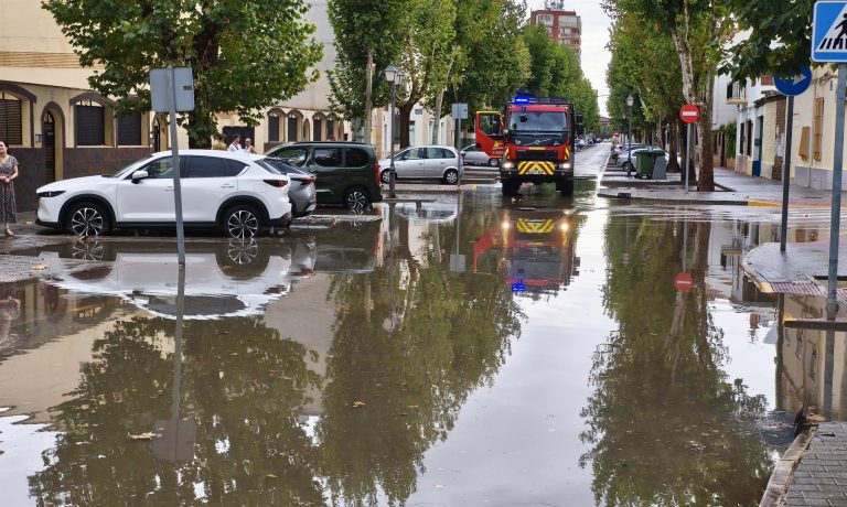 Daños de la tormenta caída en Manzanares.