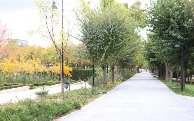 fotonoticia_20261005171000_1920