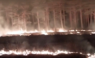 incendio la mierla