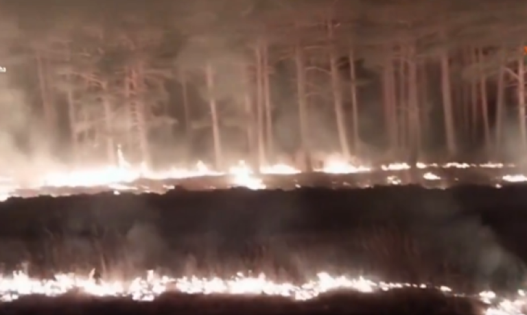 incendio la mierla