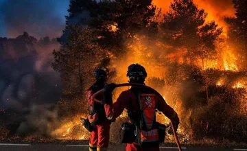 incendio-mierla-ume
