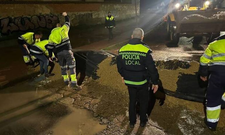 whatsapp_image_2026-02-10_at_19.50.23